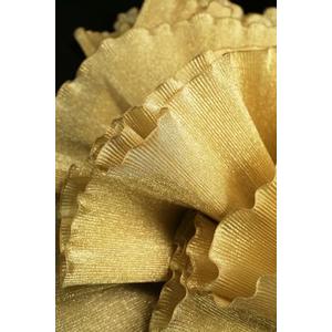 2 Yards Width Retro Width 10inch Ruffle Pleated Chiffon Trim Dress Bag Decoration Tulle Fabric Applique Trimming Craft Sewing (Gold)