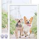 8x10 Picture Frame Set of 2, White Photo Frames High Transparent Wall Gallery Desktop Horizontal Vertical for Canvas Collage Photo Poster Certificate 8 x 10 inches