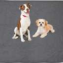 Washable Dog Pee Pads: 34x52 1 Pack Reusable Whelping Pads, Absorb Dog Mats Non-Slip Puppy Training Pads for Whelping, Potty, Training, Playpen, Crate