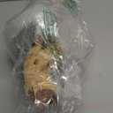 majoywoo Natural Large Driftwood for Aquarium Decor Reptile Decor, Fewer Branches 12.5-18" 2Pcs