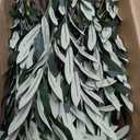 Large Faux Olive Tree Indoor Outdoor Realistic Floor Fake plantas artificiales Trees decorativas Grandes for Home Living Room Master Bedroom Office Porch Outside Patio arboles para decoracion, Size: 7ft