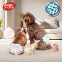 Simple Solution Disposable Male Wraps, Absorbent Leak Proof Belly Bands for Dogs, Incontinence Aid, Puppy Training, Marking Control, and Travel Protection, Medium Dogs, 15-23 Inch Waist, 30 Count