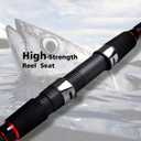 Fiblink Surf Spinning Fishing Rod 2-Piece/4-Piece Graphite Travel Fishing Rod
