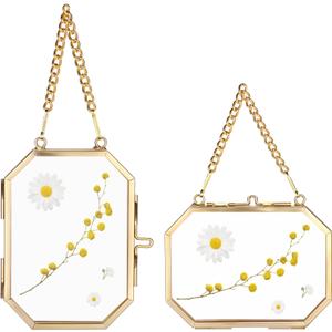 JUXYES 2 Pack Wall Hanging Brass Glass Ornament Frames, Double Glass Brass Tiny Frame for Pressed Flowers, Golden Octagon Metal Floating Frame Ornaments for Picture, Pressed Flower, Poster