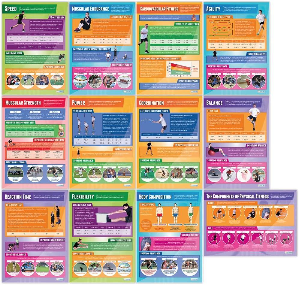 Components of Physical Fitness Posters, Set of 12, EXTRA LARGE 33" x 23.5", 33L" x 23.5W"