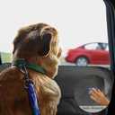 2 x RUIANTE 2PCS Car Door Protector for Dogs Anti Scratch Protection with Pockets nets Door Protectors Vehicle Door Covers Guard Shield Liner Universal Fit for Car Sedan, Truck, Pickup, SUVs 600D Black