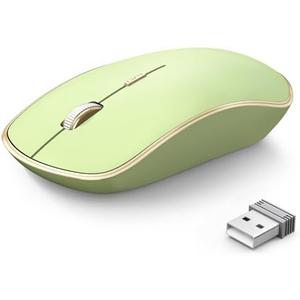 JOYACCESS J 2.4G Slim Wireless Silent Mouse - Portable Wireless Computer Mouse with 5 Adjustable DPI Levels, USB for Desktop, Notebook, MacBook, Chromebook, PC (Light Green)