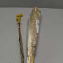 100PCS Natural Dried Pampas Grass Boho Home Decor Bouquet Phragmites Dried Flowers Bouquet for Wedding Floral Arrangements Home Decorations (100PCS)