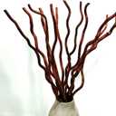 14-15 Pcs Dried Curly Willow Branches, 21-23 Inch Natural Dried Plants Decorative Branches Sticks for DIY Crafts, Vases Wedding Home Dcor, Brown
