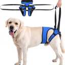 LIANZIMAU Dog Sling for Large Dogs Adjustable Hind Leg Support Lift Harness Senior Canine Mobility Aid Carrier for Back Legs Walking Rehabilitation (XL, Royal Blue)