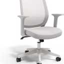 Staples Ergonomic Task Chair, Mesh, Gray