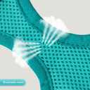 YIMEIS Dog Harness and Leash Set, No Pull Soft Mesh Pet Harness, Reflective Adjustable Puppy Vest for Small Medium Large Dogs, Cats (Turquoise, X-Small (Pack of 1)