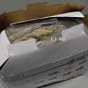 Homemate Heated Blanket Electric Throw - 50"x60" Heating Blanket Throw 1/2/4/6/8 Hours Auto-Off 10 Heat Level Over-Heat Protection Flannel Sherpa ETL Certification