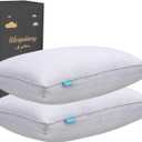 SLEEPDIARY Pillows Queen Size Set of 2,Hotel-Quality Bed Pillows with Zipper for Adjustable Loft, Machine Washable, Down Alternative Filling for Back, Side & Stomach Sleepers,Gray