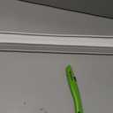 Redi Shade No Tools Easy Lift Trim-at-Home Cordless Pleated Light Filtering Fabric Shade White, 36" W x 64" L, (Fits windows 19"- 36")