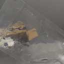 5.9FT Ramadan Inflatable Outdoor Decorations Moon Eid Mubarak Inflatables Blow up Muslim Holy Celebration Decor with LED Lights Muslim Islamic Blow up for Holidays Yard(Blue Stylish)