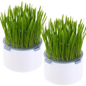 2Pcs Hydroponic Cat Grass Planter (no Seeds Included), Soil Free, Anti Digging, Anti Grass Uprooted, Wheatgrass Growing Kit, Cat Grass for Indoor Cats Pets (2)