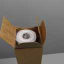 3D Safari Wallpaper Tropical Jungle and Animals Plant Wallpaper Mural for Bedroom Kids Room (Not Peel and Stick) (100" x 73", M28)