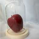 Glass Cloche Display Dome with Wooden Base, Tabletop Bell Jar Centerpiece (4X6 inch 1)