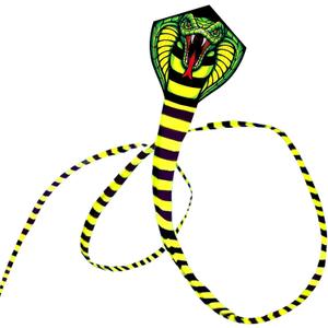 Large Cobra Kite for Kids & Adults, Easy to Fly Snake Kites for Boys, Huge Kite with Super Long Tail, Best Kites for Beach/Party/Field/Park
