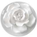 Passive Diffuser for Essential Oil-Ceramic Diffuser Non Electric Oil Diffusers for Small Mini Room, Desk Decorative, Bathroom (Impatiens)