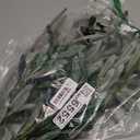 5pcs Olive Branches for Vases Artificial Plants Greenery Stems for Vases Olive Leaves Plant (Green)