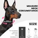 Inflatable Dog Cone Collar-Enhanced Anti-Licking Protective Cone with Adjustable Strap-Soft Dog Donut Collar Recovery Cone for Pets After Surgery(Grey, M)