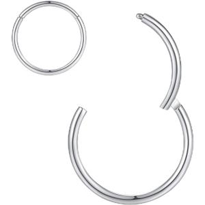 ORANGELOVE Hypoallergenic Nose Rings 20G 18G 16G 14G 12G 10G 8G 316l Surgical Steel Septum Jewelry Hinged Segment Ring Body Piercing Nose Hoop Lip Rings Nose Helix Cartilage Rook Earrings