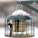 Kingsyard Squirrel Proof Suet Feeder, Cage Bird Feeders for Outdoors Hanging, All Metal, Double Suet Cake Capacity, Tray & Weatherproof, Green