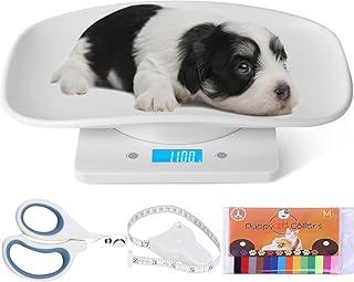 Pet Scale