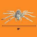 Needzo Halloween Skeleton Spider Decoration, Creepy Haunted House Prop, Party Tabletop Decor, 10 Inches