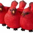 Cardinal Bird Planter  Triple Red Cardinal Resin Succulent Pot, Small Decorative Flower Pot with No Drainage Hole for Indoor & Outdoor Home Dcor