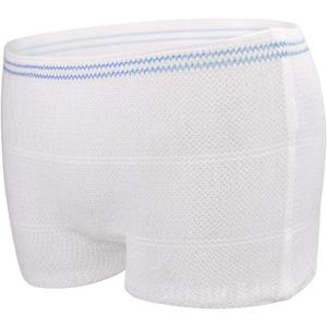 Disposable Mesh Underwear Postpartum 20 Count Postpartum Underwear for Women Maternity Incontinence Briefs, Soft, Breathable, Lightweight Mesh Panties (Medium)