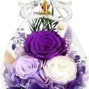 Gifts for Women Preserved Rose Forever Flower Eternal Roses in Glass Angel Figurines Fresh Flowers for Delivery Prime Mothers Day Birthday Gift for Mom Her Wife Grandma on Valentines Day Anniversary (Purple)