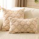 Throw Pillow Covers 18 x 18 Set of 2 Beige Boho Throw Pillows Decorative Soft Plush Faux Fur Soft Cushion Case for Farmhouse Living Room Couch Sofa Home Decors SY010-A18