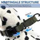 Martingale Dog Collars Adjustable Training Martingale Collar for Dogs - Reflective No Pull Dog Collar with Quick Release Buckle (Army Green, Large) (Medium)