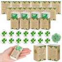 Bucherry 30 Set St. Patrick's Day Gift Bulk Four Leaf Clover Glass Token Charms with Greeting Boxes Irish Day Lucky Shamrock Gifts for DIY Friends Coworkers Employee Office Party Favors (Heart)