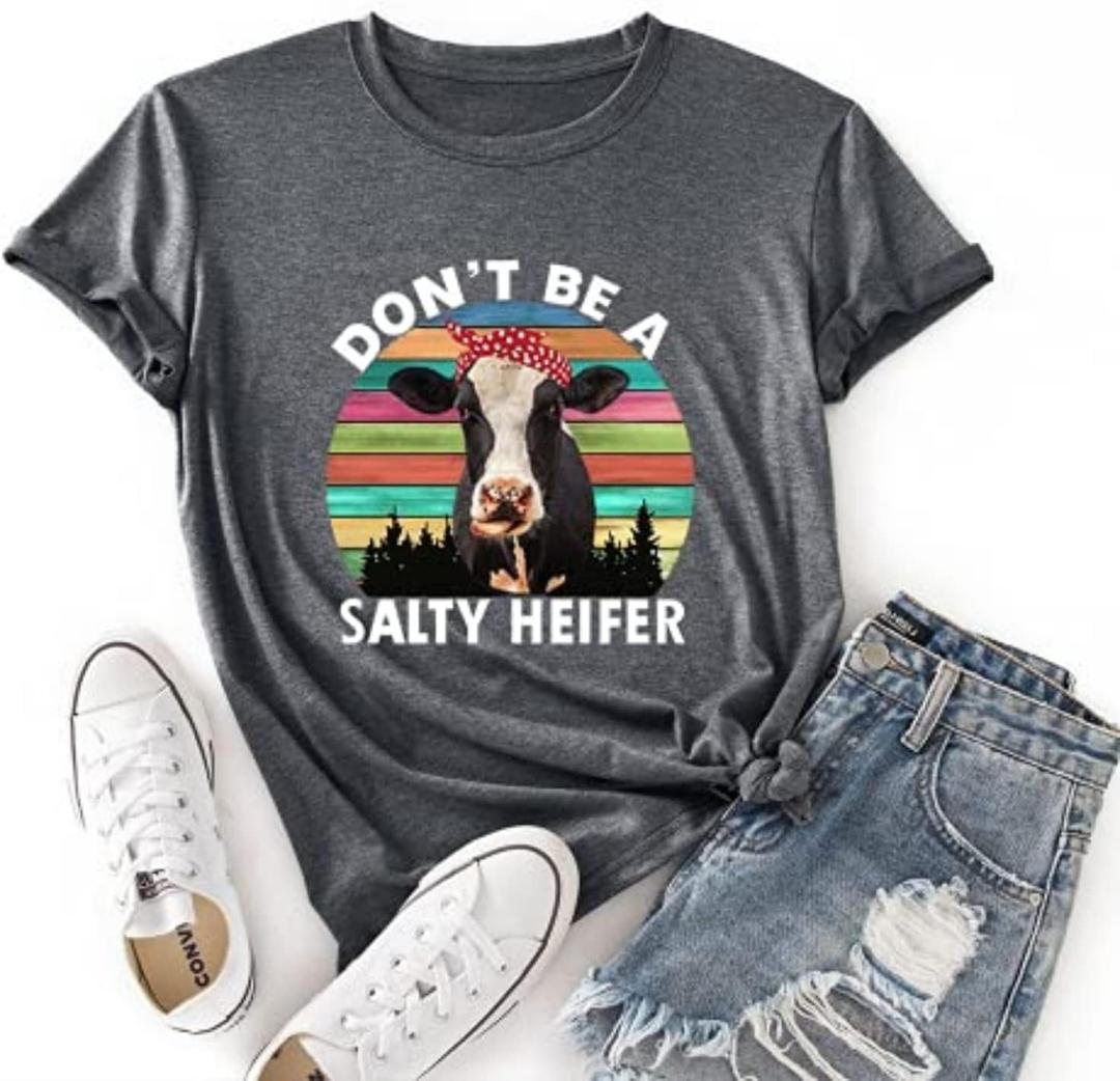 Noffish Women Don't Be A Salty Heifer T-Shirt Loose Popular Short Sleeve Funny Cow Shirt (Grey, 2XL)