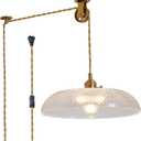 Hanging Light with Plug in Cord,11.8 Inch Plug in Hanging Light Glass Lampshade Hanging Lamp Plug in Adjustable Golden Cord Two Ways Switch for Bedroom