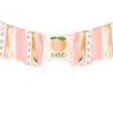 Peach Theme Baby 1st Birthday Banner - High Chair Banner, Sweet Peach Birthday Decorations, Crush Cake Photo Props Background