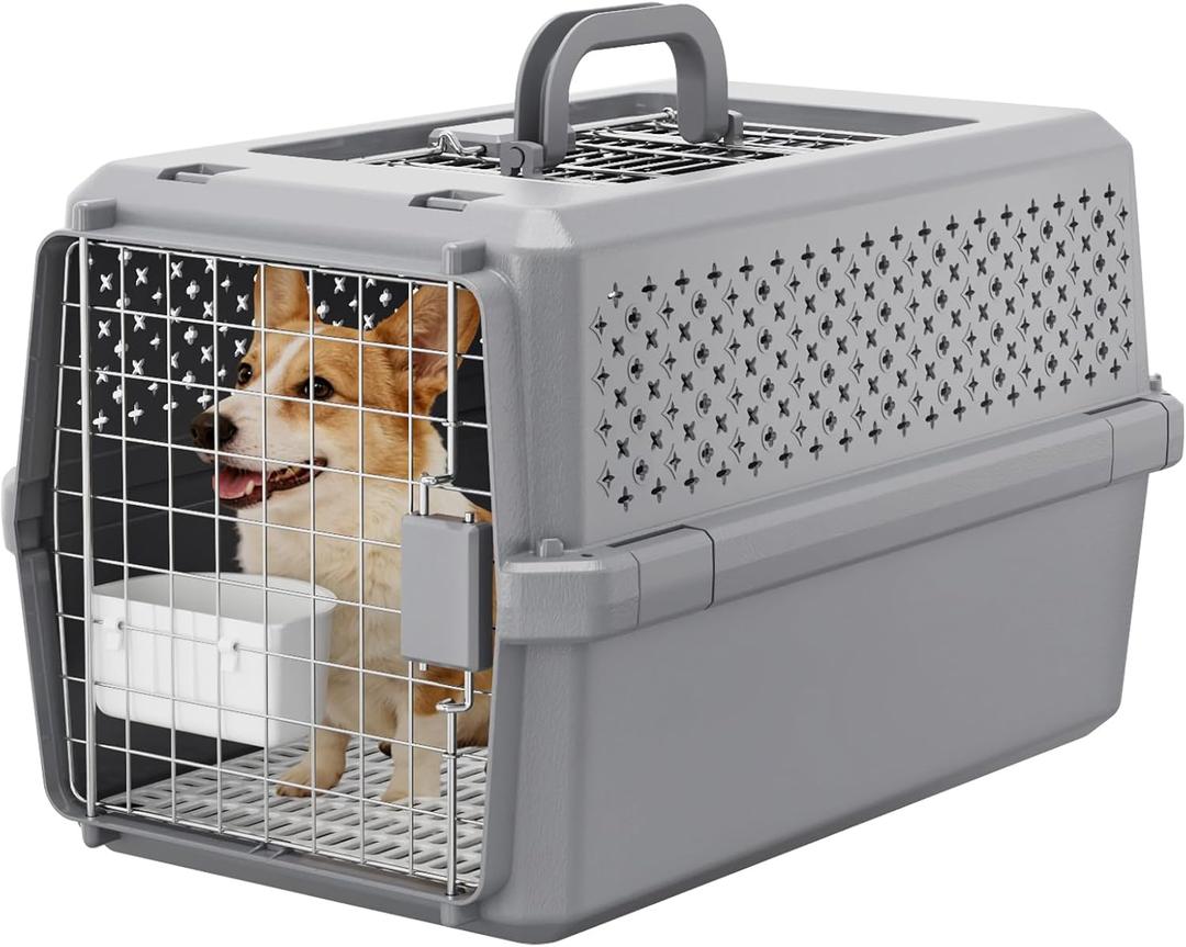 RIZZARI Gray Pet Carrier for Medium Dogs & Cats, Hard-Sided Travel Kennel | Spacious Interior,Reinforced Side Latches,Stable Carrying Handle,Wide Front Entry,Supports Daily Travel,Light weight to Carry