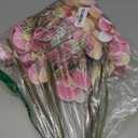 FagusHome 32 Inch Artificial Phalaenopsis Flowers 6 Pcs Artificial Orchid Flowers Stem Plants for Home Dcor (Pink)