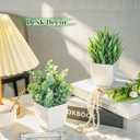 Der Rose 2 Pack Small Fake Plants Mini Artificial Potted Plants for Table Desk Home Laundry Room Bathroom Office Decor