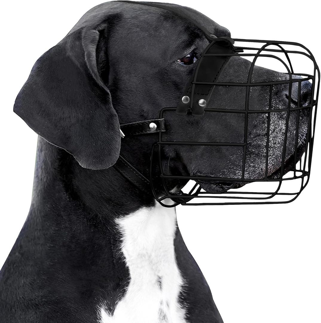 BRONZEDOG Dog Muzzle Adjustable Durable PVC Wire Basket for Large and Extra Large Dogs with Leather Straps Breathable, Drinkable, Training, Prevents Biting (PVC, Great Dane)
