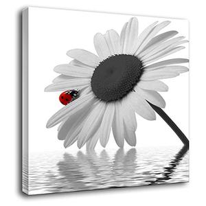 Biuteawal - Sunflower Canvas Wall Art Prints Ladybird on Floral Picture Painting Black and White Wall Decor for Home Kitchen Bathroom Ready to Hang