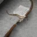 GarveeHome 10x13 Area Rug Large Living Room Scalloped Rug Non Slip Low Pile Bedroom Throw Carpet Soft Modern Bordered Dining Room Rug Stain Resistant Boho Carpet for Home Office, Beige