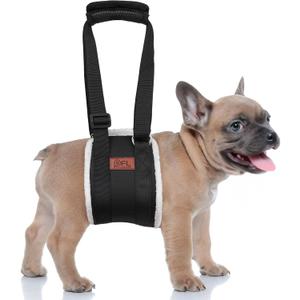 Adjustable Dog Lift Harness, Dog Sling for Large Dogs Lift Support and Rehab Harness for Weak Rear Legs, Soft Hind Leg Support Helps Senior, Injured, Disabled and After ACL Surgery Dogs, (Black, Small)