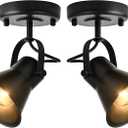 SEEBLEN Track Light Modern Ceiling Spot Lighting Indoor, Adjustable Wall Mount Accent Light,for Bedroom Living Room Hallway Kitchen Painting(2 Pack)
