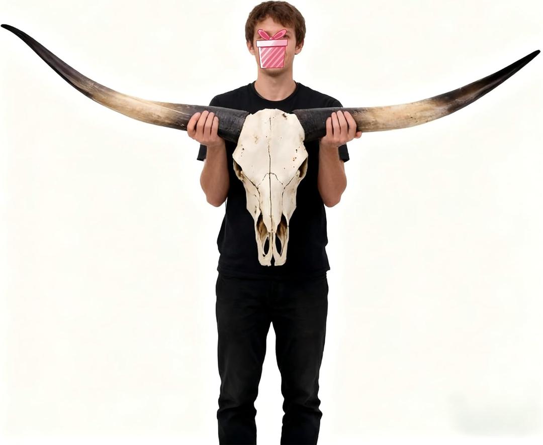 BKCEHCRS Longhorn skull,70 Inches -longhorn wall decor,Realistic Retro Bull cow skull wall decor,Faux TaxidermyHandmade Animal Cow Head Skulls for Living Room, Bedroom,Black2