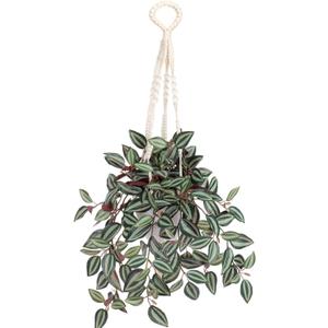 Fake Hanging Plants with Pot, 17" Green Red Artificial Eye Leaves Potted Plant Faux Peperomia Vine Basket Plant for Wall Bedroom Office Indoor Outdoor Home Decor